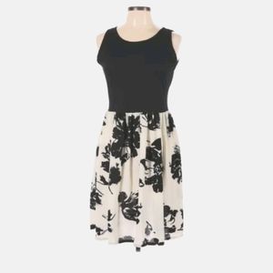 Dolce Bianca Casual Black Floral Dress - Small